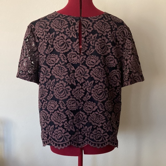 Ann Taylor size XL lace rose plum color short sleeves blouse with black lining. - Picture 2 of 8